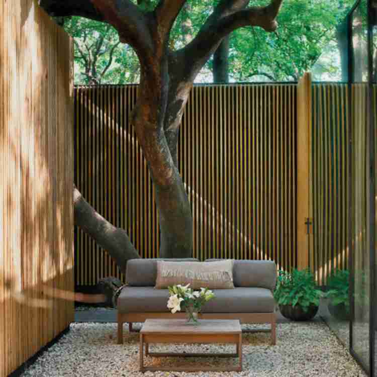 Villa nestled in an orchard in Mexico. Sensual textures among trees and courtyards