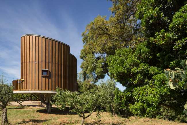 Wooden house in the treetops. Emphasis on smell, touch and comfort in the interior
