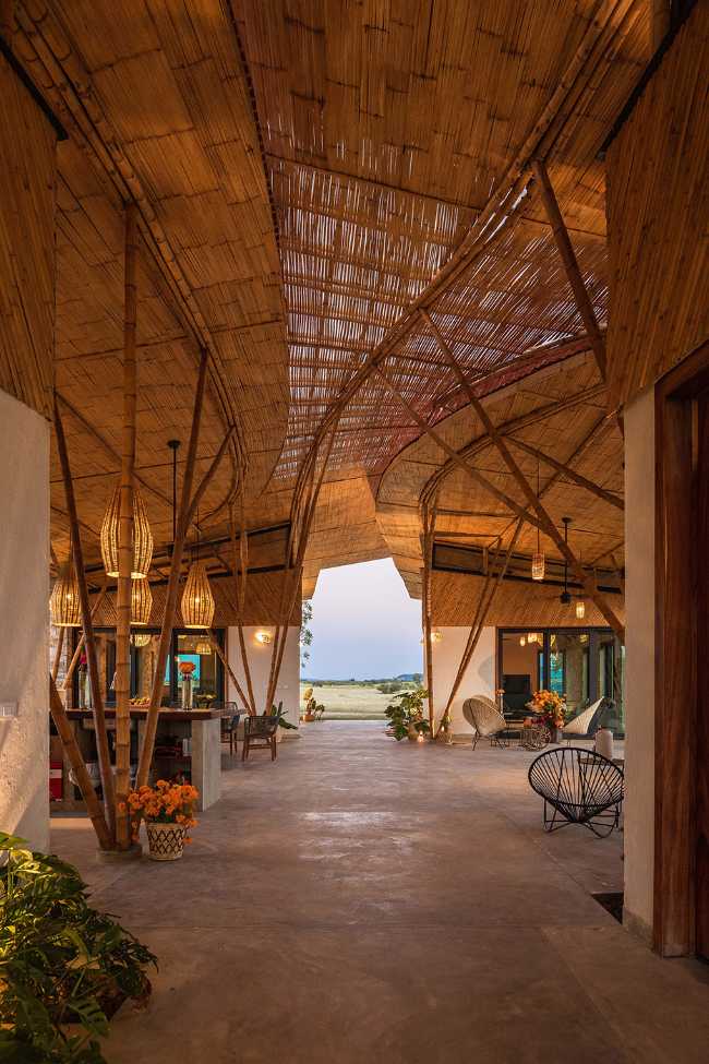 Housing in Mexico. Solar position, wind and trees as guidelines for the project