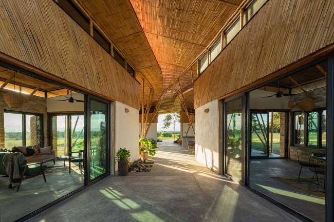 Housing in Mexico. Solar position, wind and trees as guidelines for the project