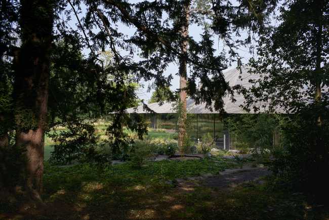 Casa annidata ai margini di un bosco