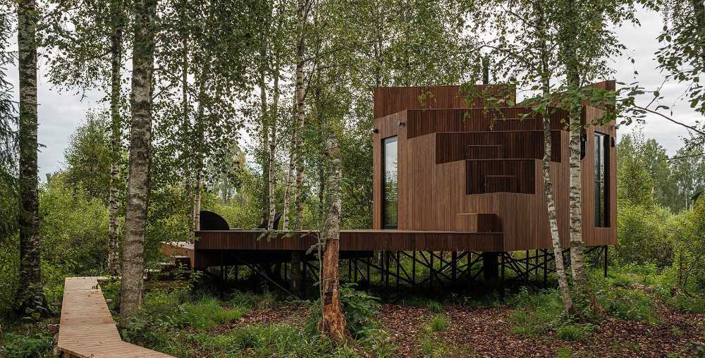 Tiny hotel on the edge of a swamp. Birch trees surround the hotel room
