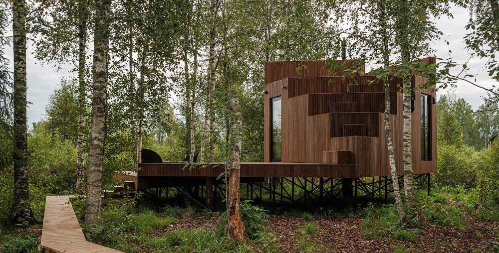 Tiny hotel on the edge of a swamp. Birch trees surround the hotel room