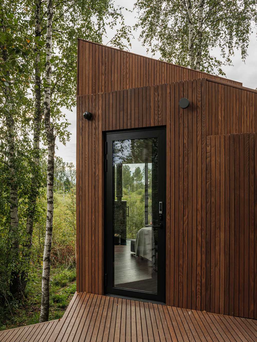 Tiny hotel on the edge of a swamp. Birch trees surround the hotel room