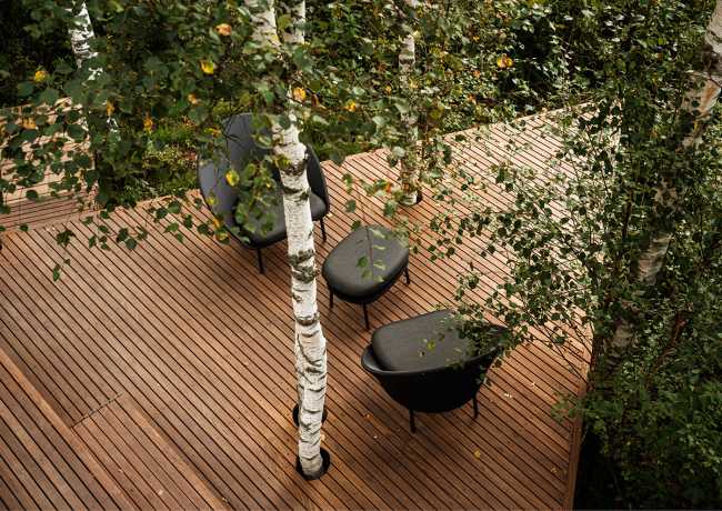 Petit hôtel en bordure d'un marais. Des bouleaux entourent la chambre d'hôtel