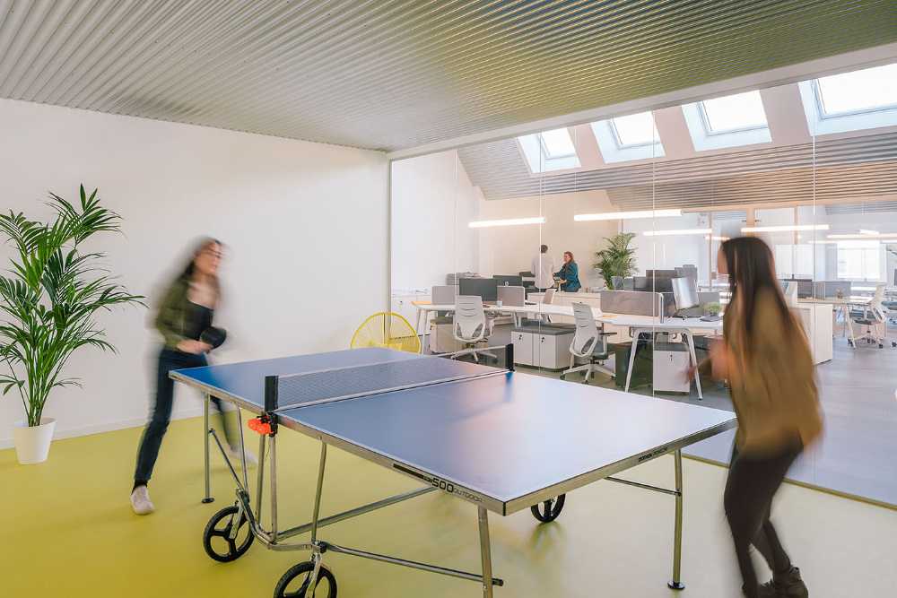 Renovated late 20th century industrial warehouse. Office and warehouse for an advertising company
