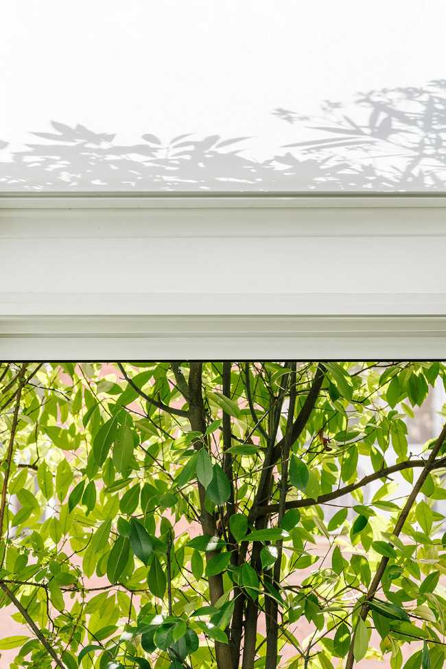 Penthouse in the centre of Madrid. Renovation in the name of hedonism and pleasure