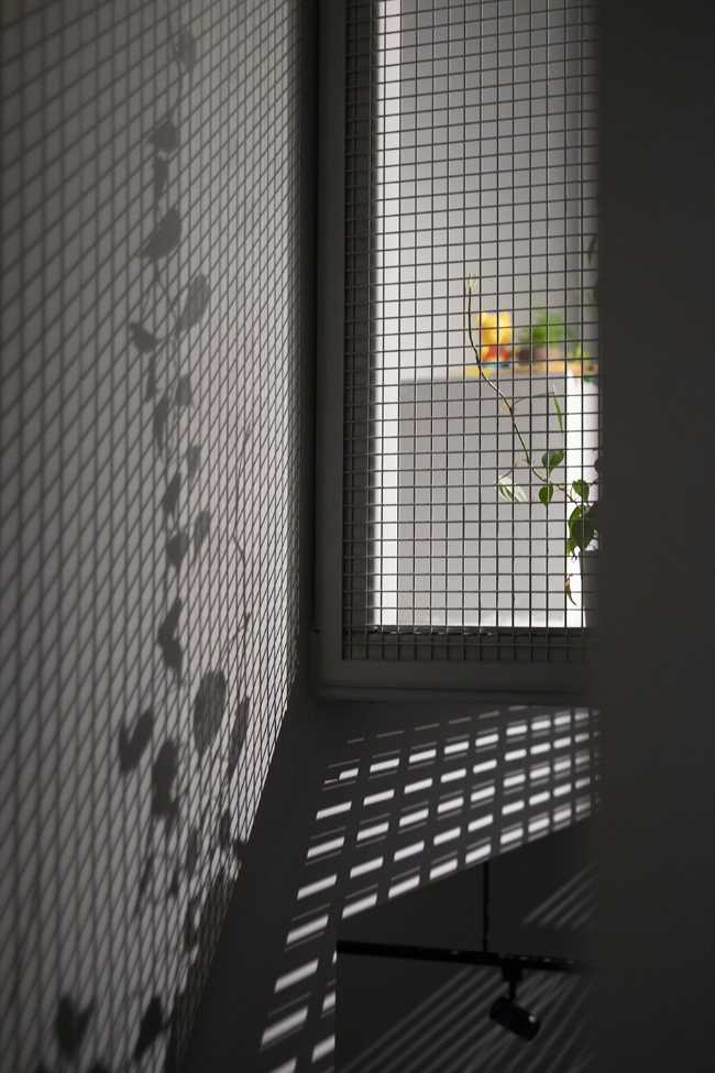 Juego de luces y sombras