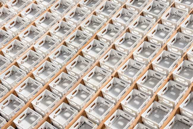 Pavillon au centre d'Annecy. Structure en caisses de lait pour un jardin suspendu inversé