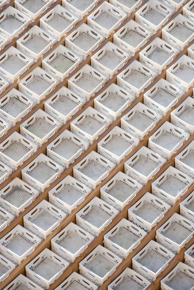 Pavillon au centre d'Annecy. Structure en caisses de lait pour un jardin suspendu inversé