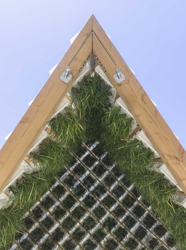 Pavillon au centre d'Annecy. Structure en caisses de lait pour un jardin suspendu inversé