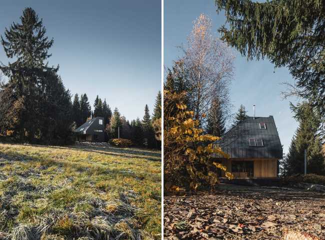 Chalet tra gli alberi