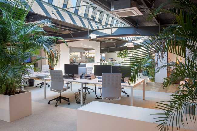 Magazzino trasformato in un ufficio. Lo spazio di lavoro viene innondato di luce naturale