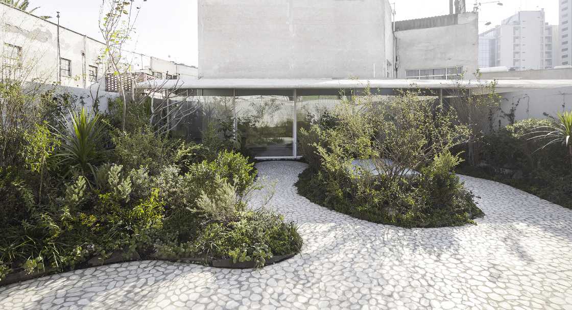 An oasis of nature and serenity in Mexico City: Casa Verne, amidst slits of light and hanging gardens