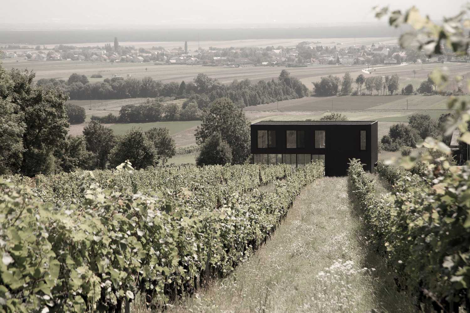 House on wine terraces. Wooden slats cover the structure like a velvety black veil