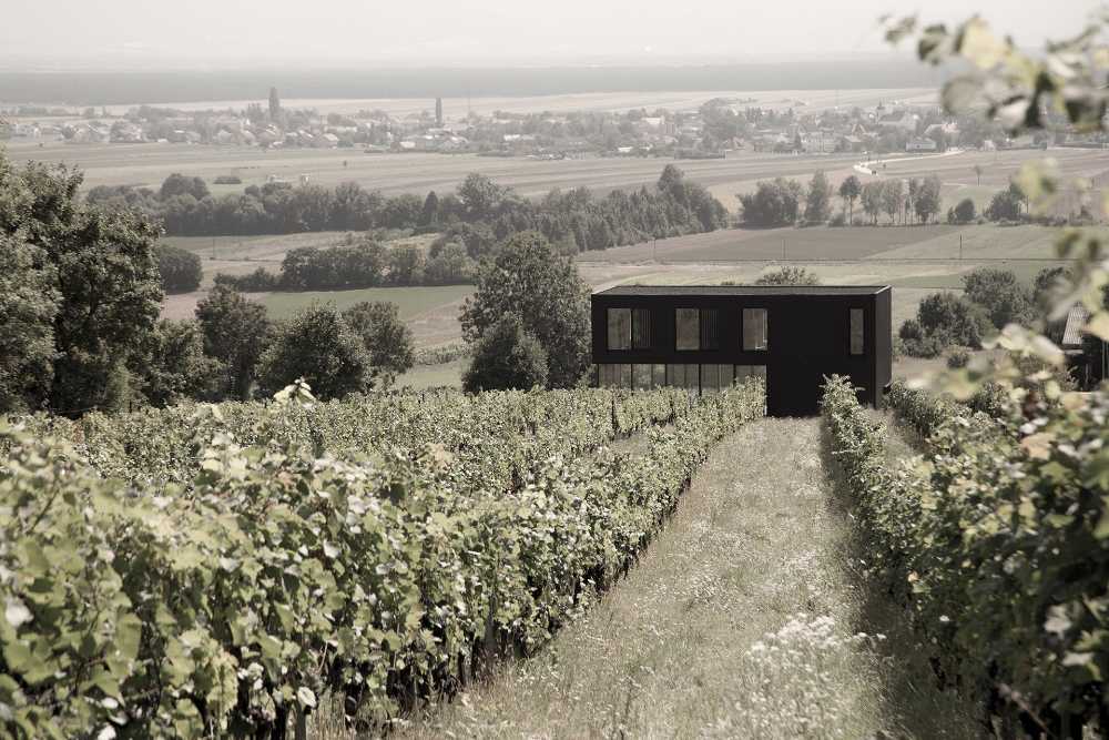 Maison sur les terrasses de vignes. Des lattes en bois recouvrent la structure comme un voile noir velouté