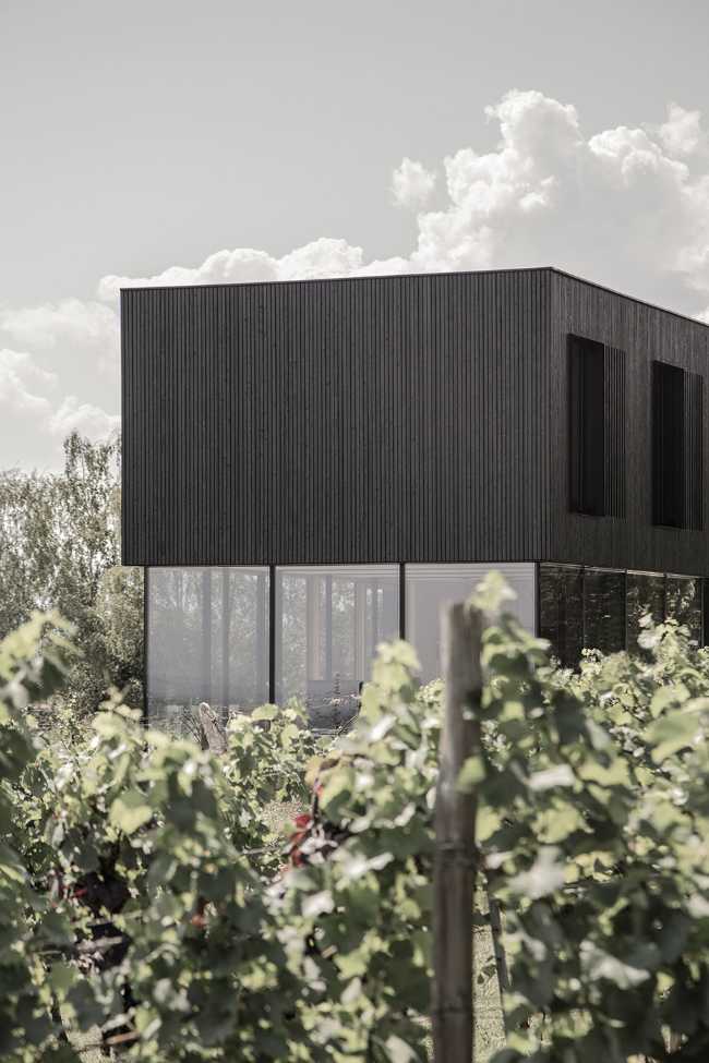 House on wine terraces. Wooden slats cover the structure like a velvety black veil