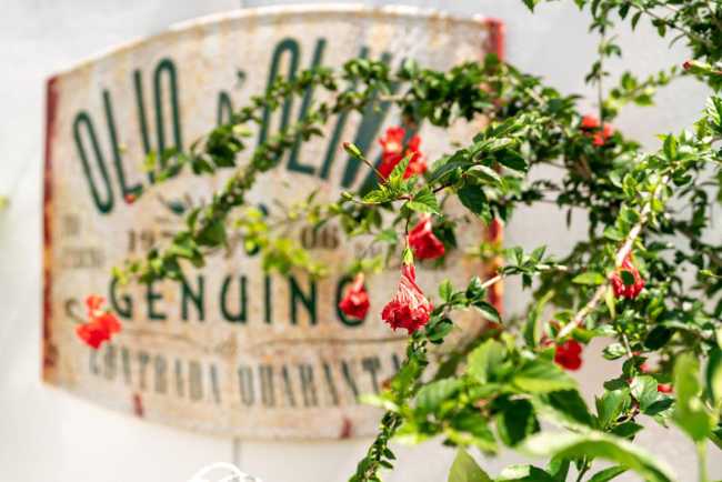 The advantage of being different. Italian cuisine + architecture embody the slogan