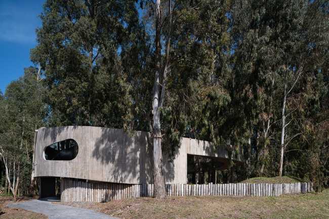 Concrete shell in a eucalyptus forest. A multiplicity of paths and spatial relations