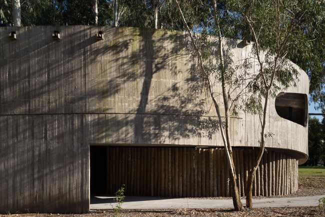 Concrete shell in a eucalyptus forest. A multiplicity of paths and spatial relations