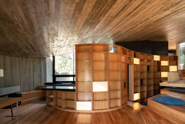 Concrete shell in a eucalyptus forest. A multiplicity of paths and spatial relations