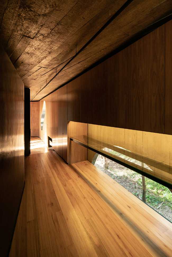 Concrete shell in a eucalyptus forest. A multiplicity of paths and spatial relations