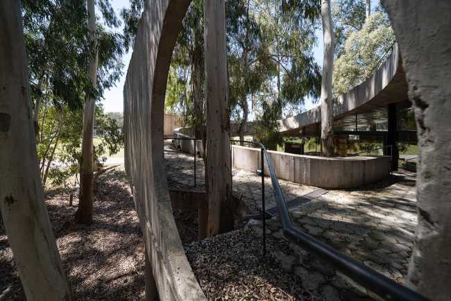 Concrete shell in a eucalyptus forest. A multiplicity of paths and spatial relations