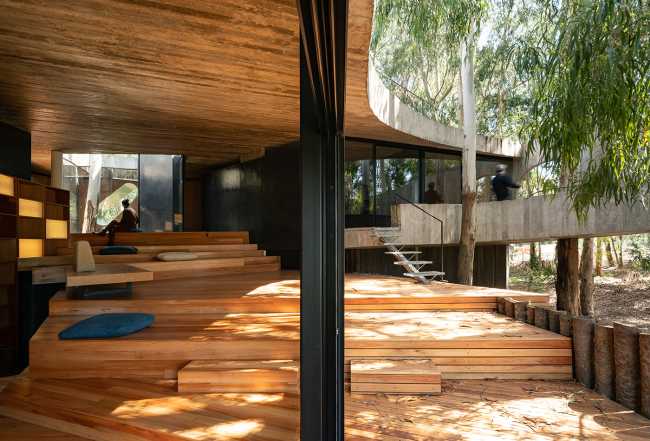 Concrete shell in a eucalyptus forest. A multiplicity of paths and spatial relations