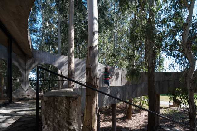 Concrete shell in a eucalyptus forest. A multiplicity of paths and spatial relations
