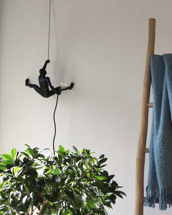 Atti di bellezza congelati per sempre. Portando luce e humor