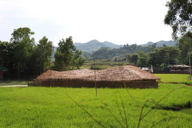 Au-delà de la survie