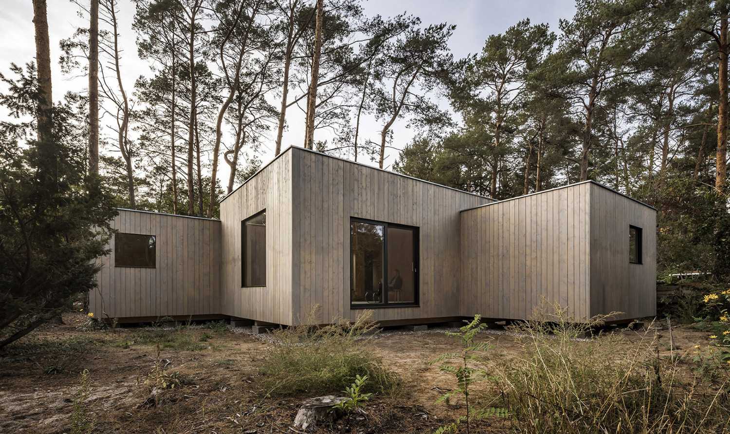 Five boxes arranged between tall pine trees. Trees dictate the irregular shape