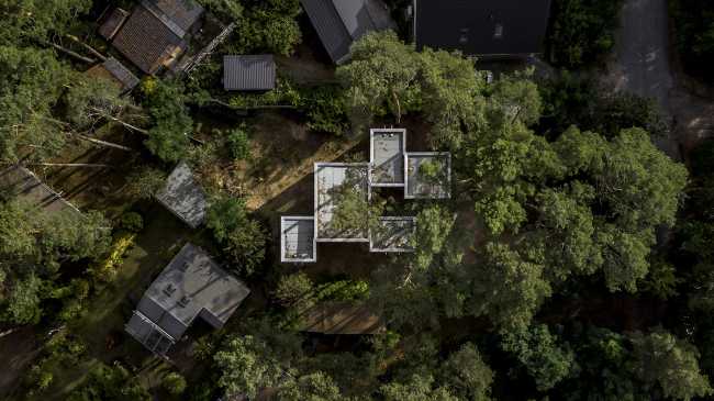 Five boxes arranged between tall pine trees. Trees dictate the irregular shape