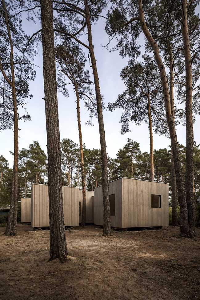 Five boxes arranged between tall pine trees. Trees dictate the irregular shape