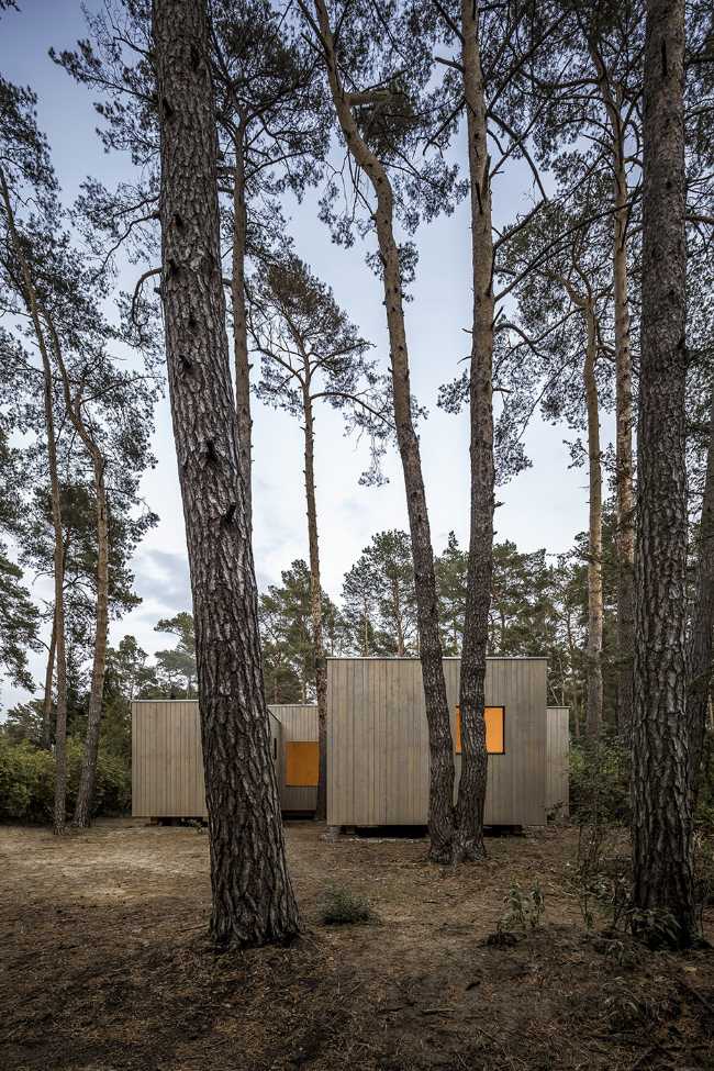 Five boxes arranged between tall pine trees. Trees dictate the irregular shape