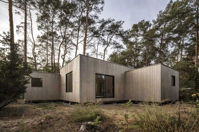 Five boxes arranged between tall pine trees. Trees dictate the irregular shape