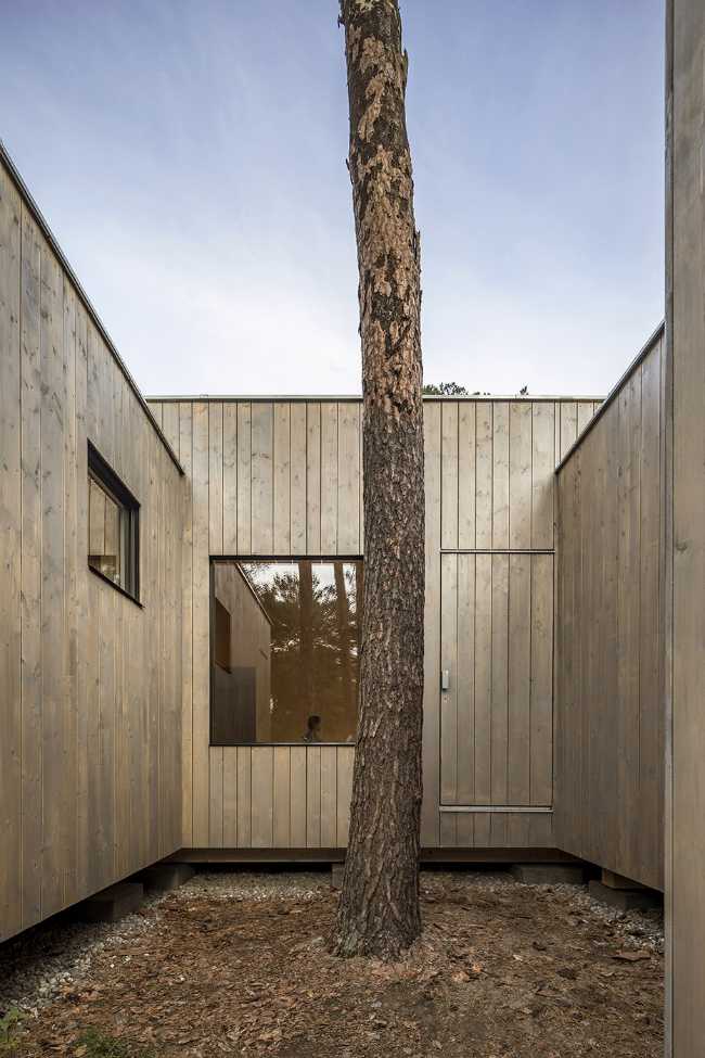 Five boxes arranged between tall pine trees. Trees dictate the irregular shape