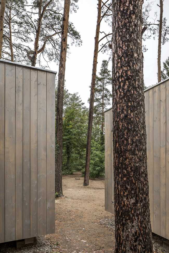 Five boxes arranged between tall pine trees. Trees dictate the irregular shape