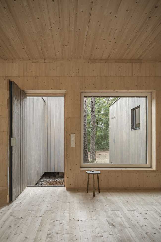 Five boxes arranged between tall pine trees. Trees dictate the irregular shape