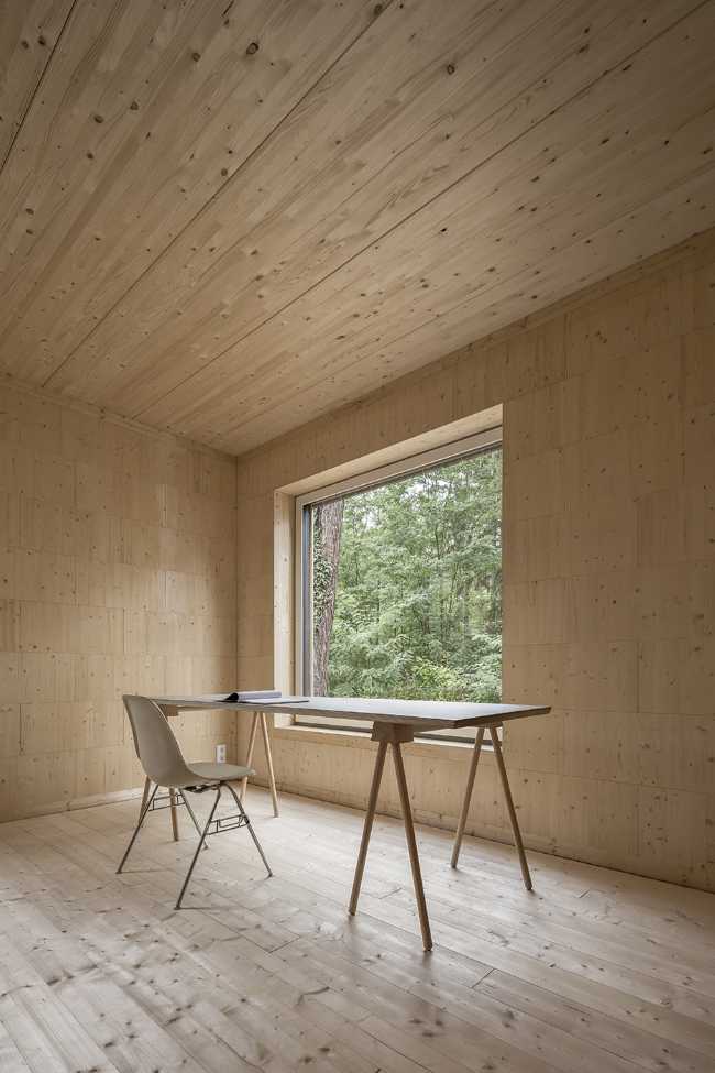 Five boxes arranged between tall pine trees. Trees dictate the irregular shape