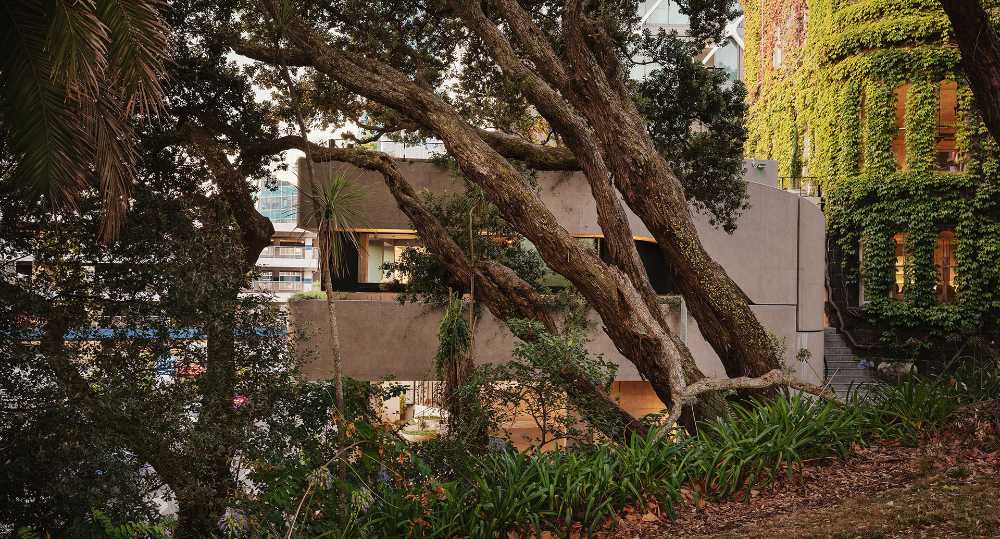 Prestigious club in New Zealand. A mantle of ivy wraps the century-old building