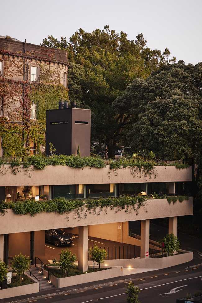 Prestigious club in New Zealand. A mantle of ivy wraps the century-old building
