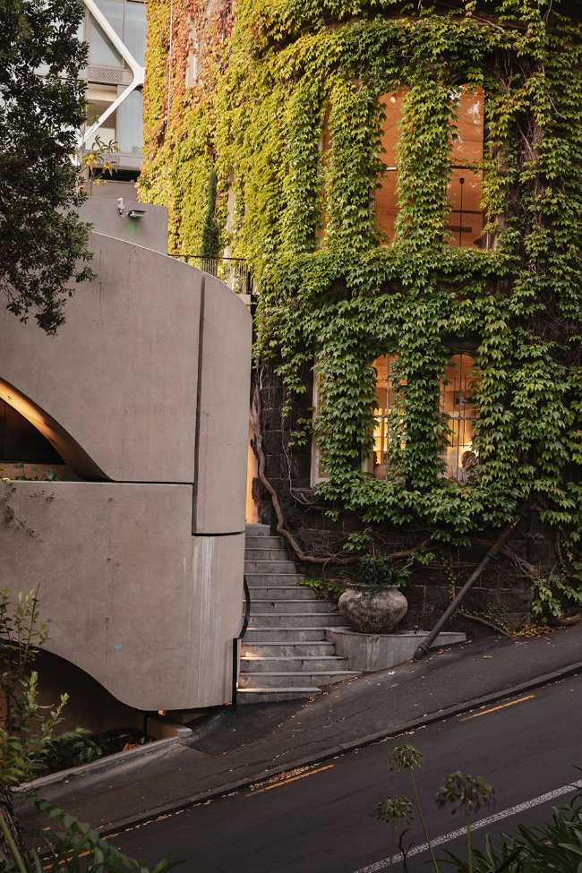 Prestigious club in New Zealand. A mantle of ivy wraps the century-old building