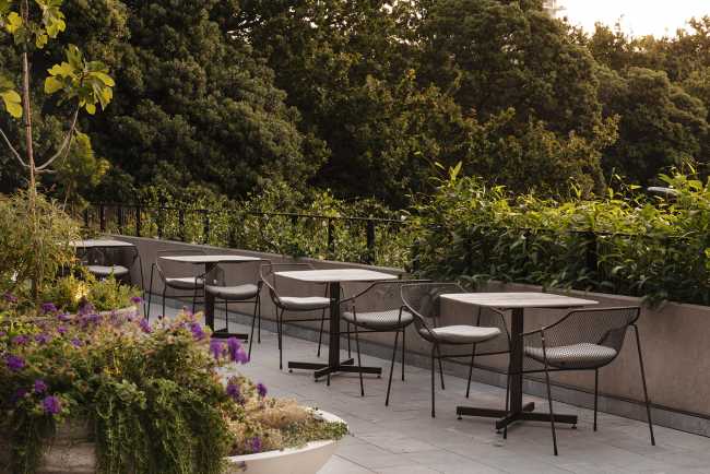Prestigious club in New Zealand. A mantle of ivy wraps the century-old building
