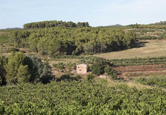 An ancient farmhouse is brought back to life. A charming retreat to immerse yourself in Catalan nature