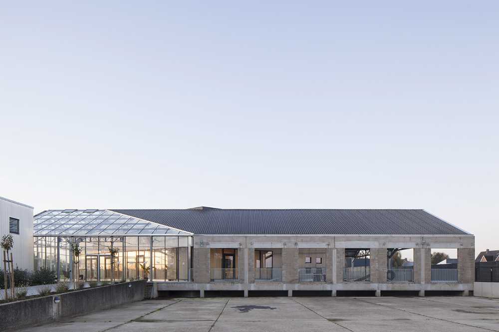 Hachiko: renovation of a warehouse for a dog therapy center