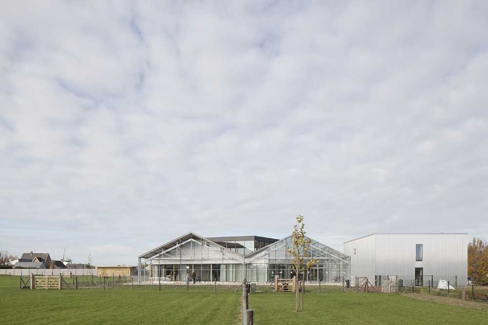 Hachiko: renovation of a warehouse for a dog therapy center
