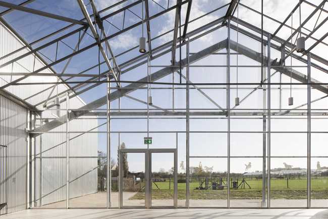 Hachiko: reestructuración de un almacén para un centro de zooterapia