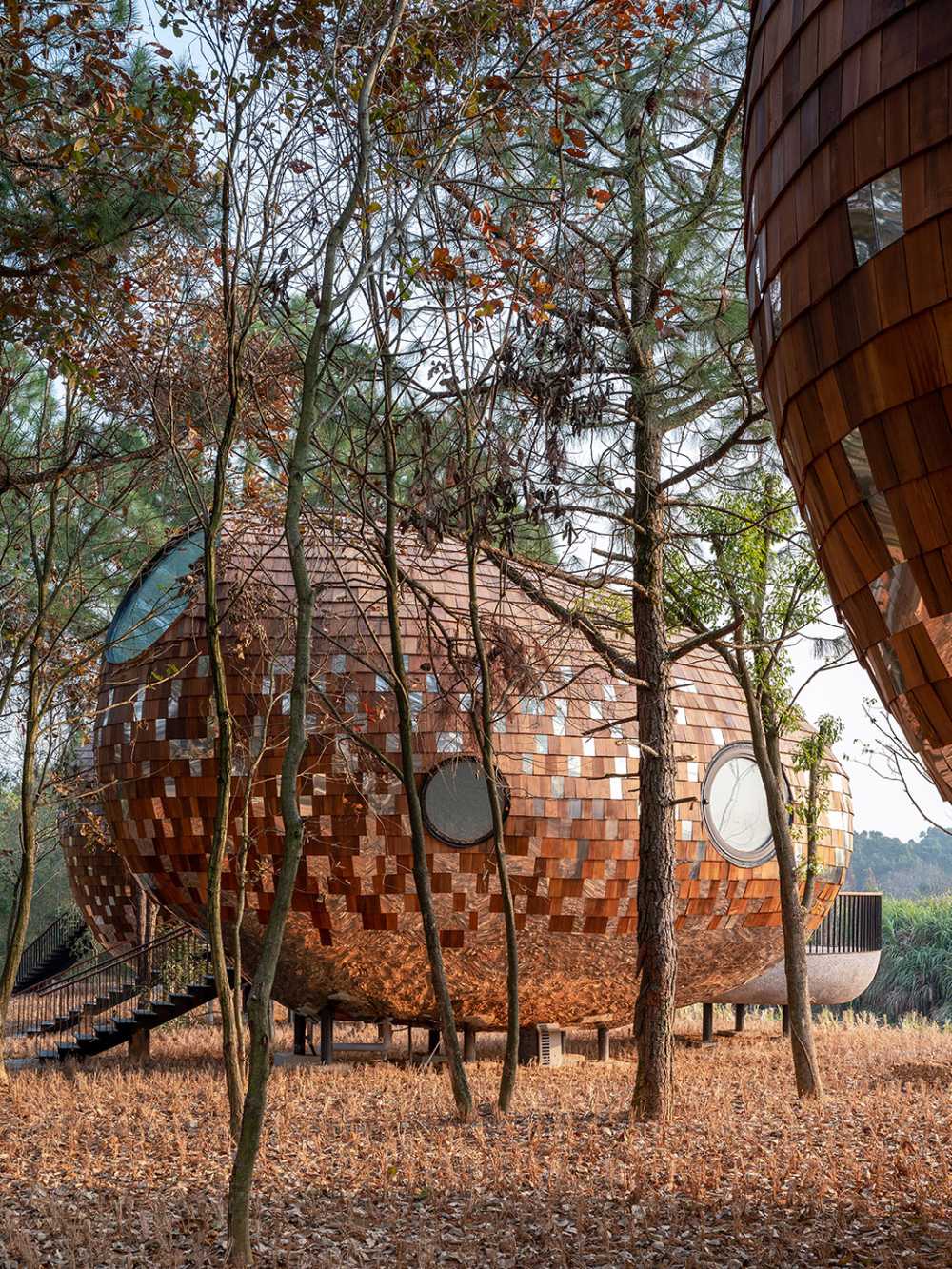The Seeds: four futuristic wooden houses with an ellipsoidal shape