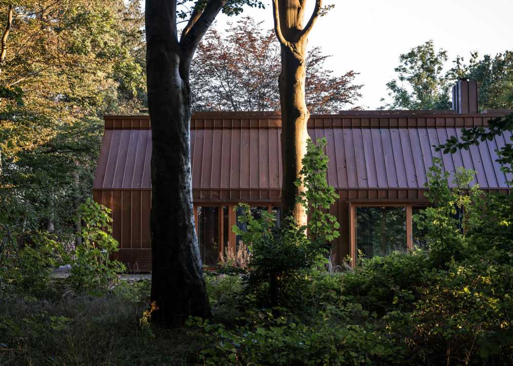 Psychophysical wellbeing and nature in order to make working a delight: the Author's House immersed in the forest